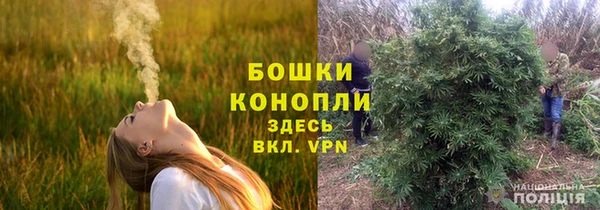 наркотики Белокуриха
