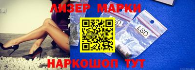прущие грибы Гусиноозёрск