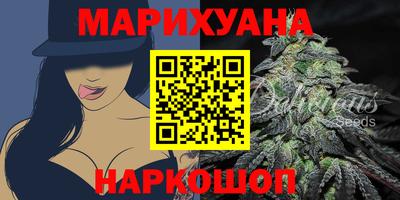 прущие грибы Гусиноозёрск