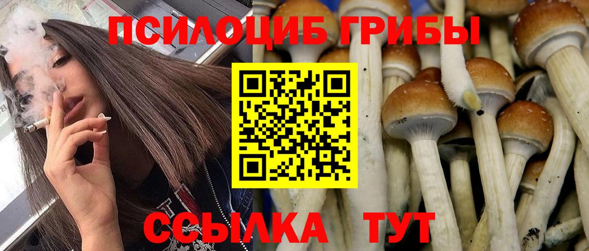 Галлюциногенные грибы прущие грибы Свободный